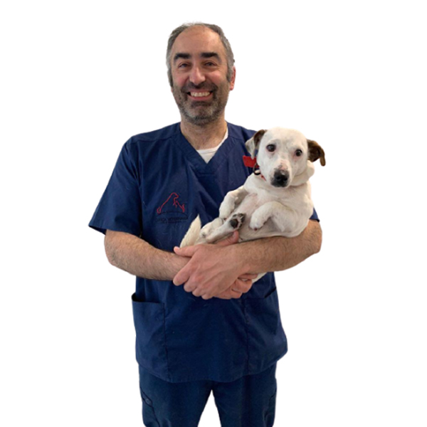 Federico Cavalli Veterinario